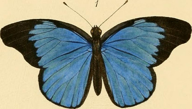 14758990956_c0bef7bde9_z
